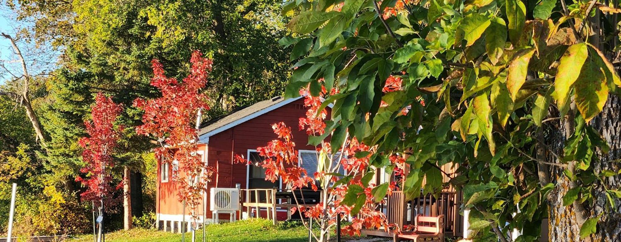 Trent River Cottages Hastings Extérieur photo